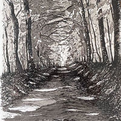 Chemin de Lumière #12